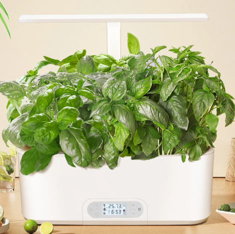 Hydroponic Kits