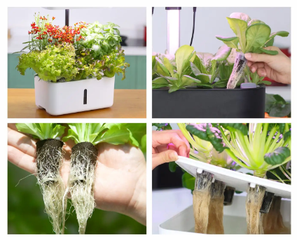 Beginner Small Hydro Bundle