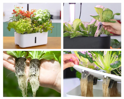 SmartSoil Sponge (Small Hydro)